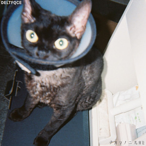 警花被歹徒糟蹋到高潮
